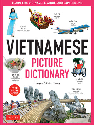 cover image of Vietnamese Picture Dictionary